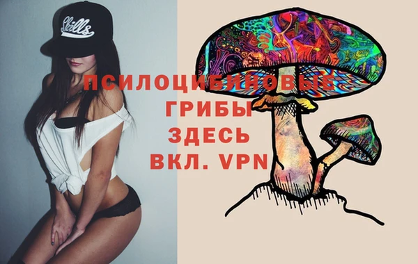 мдпв Абинск