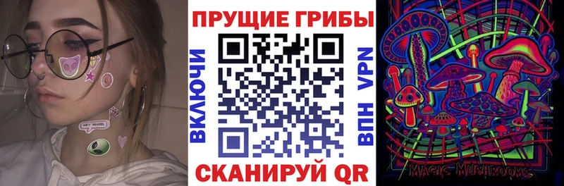 Псилоцибиновые грибы Magic Shrooms  blacksprut ССЫЛКА  Ладушкин 